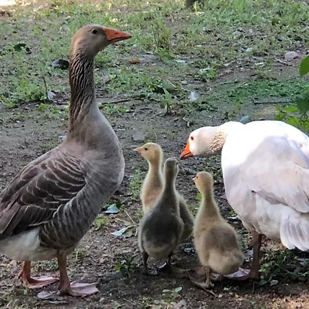 Casas Dos Infantes -